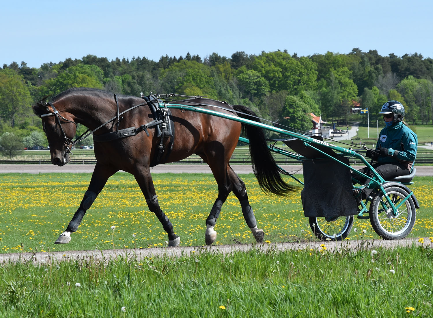 Who's Who och Jennie på en lugn joggtur. Foto; A.Lindblom